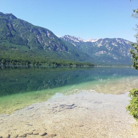 Apartment Mlakar Bohinj Buitenkant foto