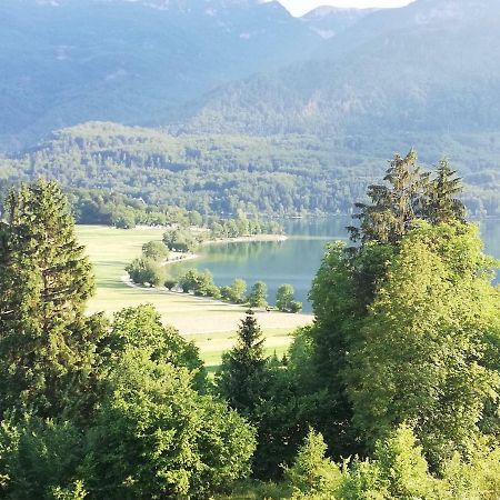 Apartment Mlakar Bohinj Buitenkant foto